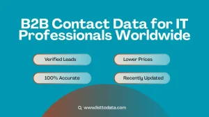 B2B contact data for IT professionals worldwide